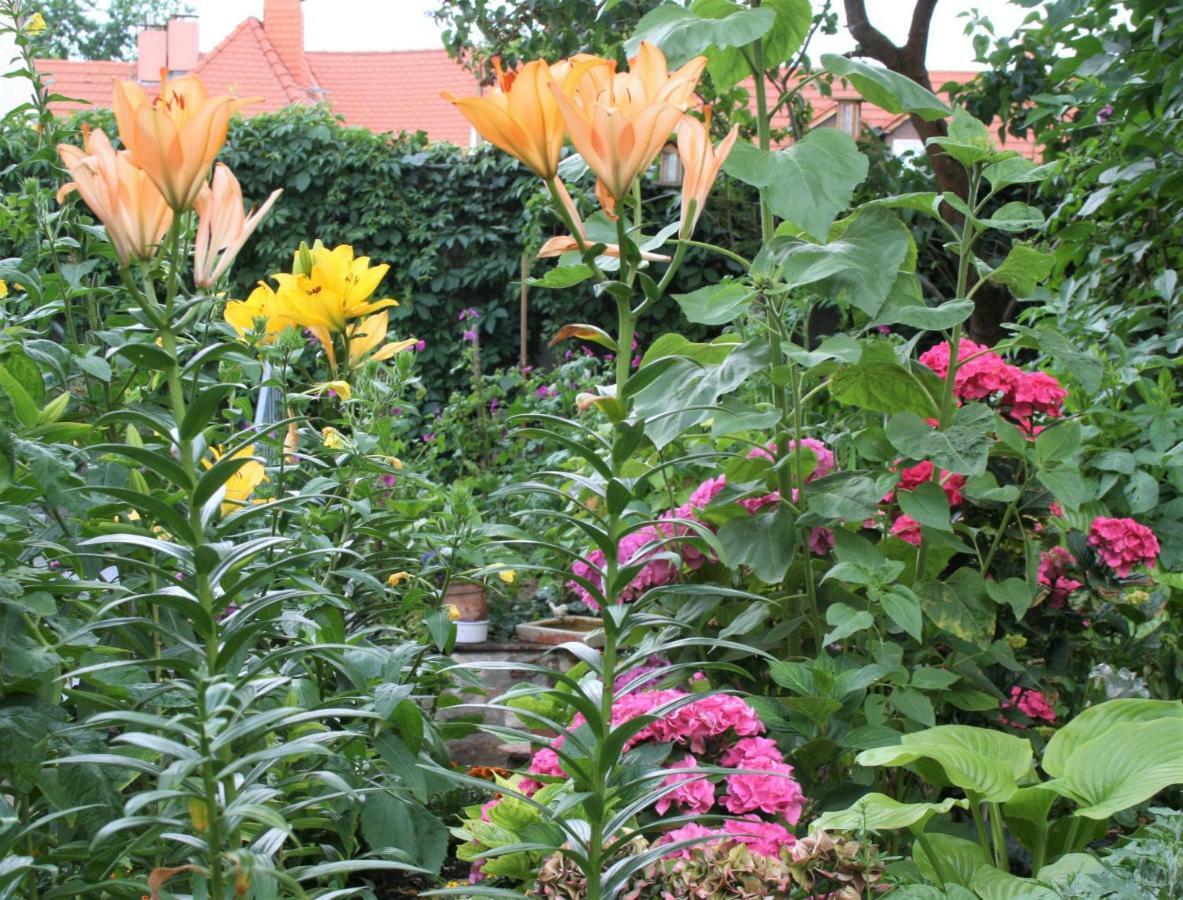 Herrenhof Worms Bagian luar foto
